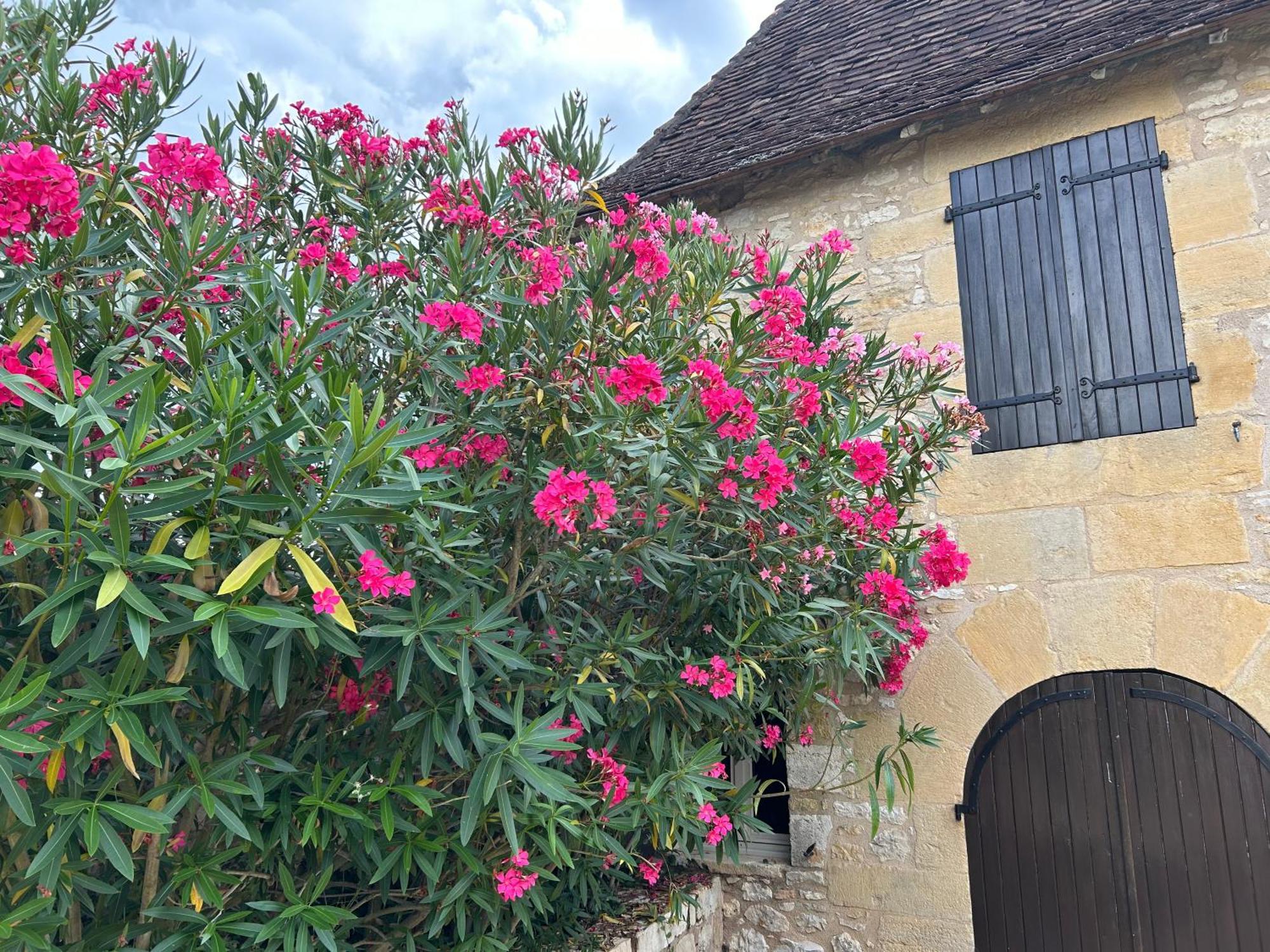 Demeure Du Vallon - Chambres D'Hotes De Charme Azerat Kültér fotó